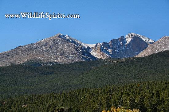 Click Picture to send as an  E-PostCard 58k 550x367